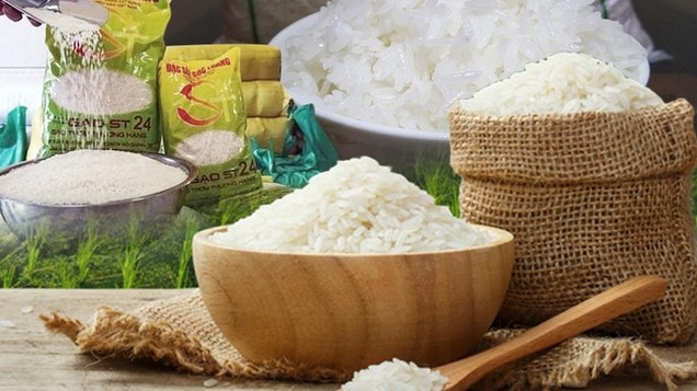 Cập nhật giá lúa gạo hôm nay 20/5/2022: Giá gạo xuất khẩu tiếp tục tăng