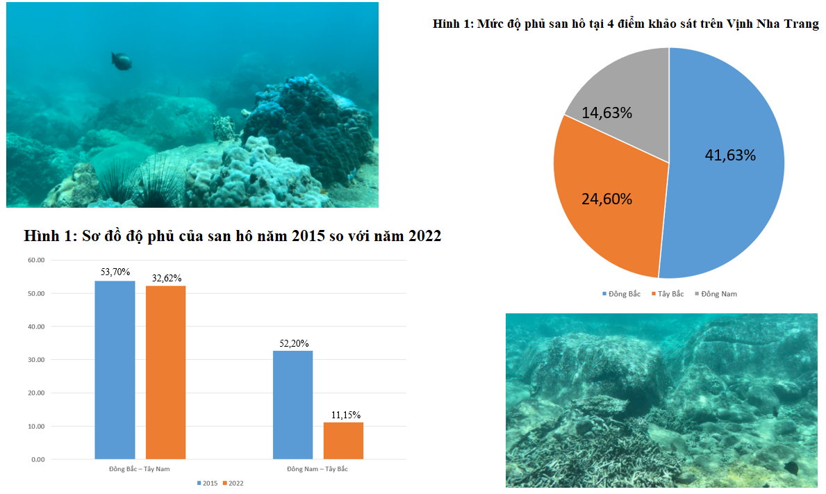 Tạm dừng du lịch lặn biển tại các khu vực dễ bị tổn hại ở vịnh Nha Trang Tạm dừng du lịch lặn biển tại các khu vực dễ bị tổn hại ở vịnh Nha Trang