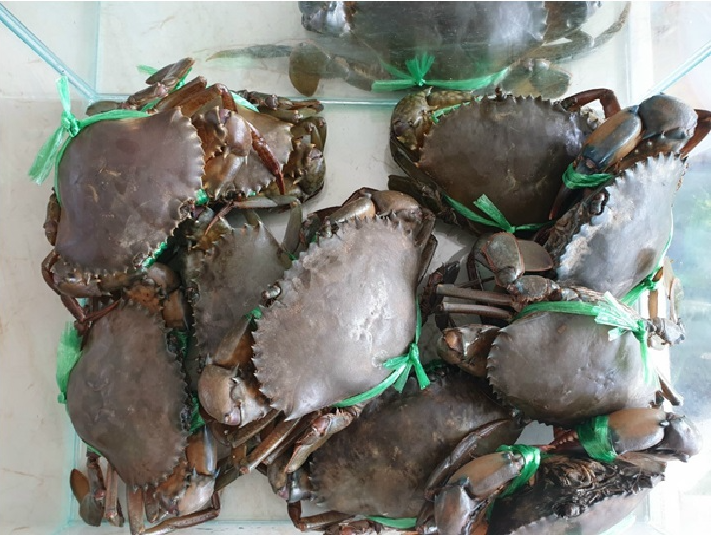 Bảo hộ Chỉ dẫn địa lý "Cà Mau" cho sản phẩm cua