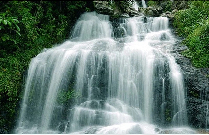 Review Tam Đảo: Top 10 địa điểm du lịch nổi tiếng ở khu du lịch Tam Đảo