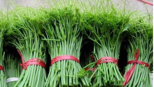 Review Tam Đảo: Top 10 đặc sản nên mua về làm quà khi du lịch Tam Đảo