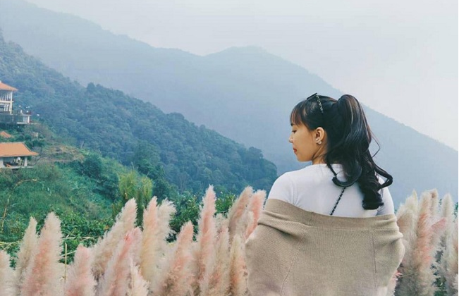 Mùa Xuân Mùa Xuân