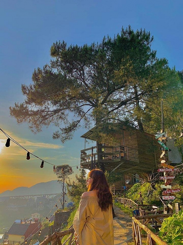 Review Tam Đảo: Top 10 homestay giá rẻ ở Tam Đảo Review Tam Đảo: Top 10 homestay giá rẻ ở Tam Đảo