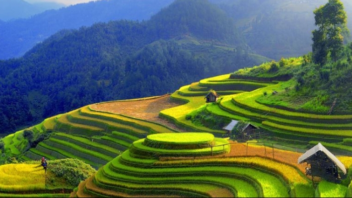 Review Sapa: Đi du lịch Sapa mùa nào đẹp nhất?