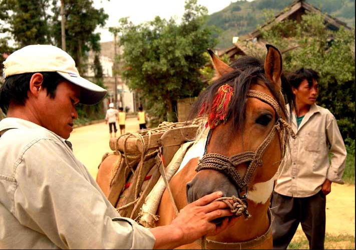 Review Sapa: Chợ Phiên Bắc Hà – Nét độc đáo của vùng cao Tây Bắc