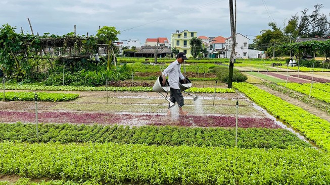 Hội An sắp diễn ra sự kiện “Nét hoa Nghề Hội An"