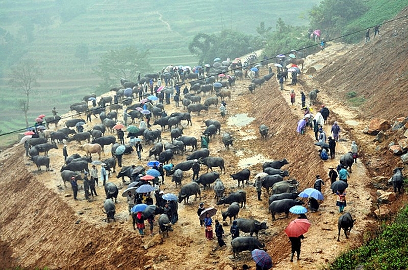 Khu chợ Châu tại chợ phiên Cán Cấu Sapa