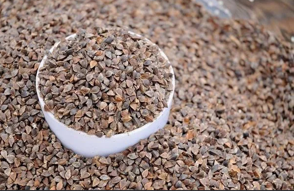 Những hạt tam giác mạch khi vào mùa vụ bao giờ cũng mang chút hăng của cây rừng… (Ảnh: Internet) Những hạt tam giác mạch khi vào mùa vụ bao giờ cũng mang chút hăng của cây rừng… (Ảnh: Internet)