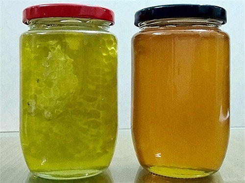 Mật ong hoa bạc hà có màu xanh nhạt khác hoàn toàn các loại mật thông thường có màu vàng cam. Ảnh: matongtaynguyen Mật ong hoa bạc hà có màu xanh nhạt khác hoàn toàn các loại mật thông thường có màu vàng cam. Ảnh: matongtaynguyen