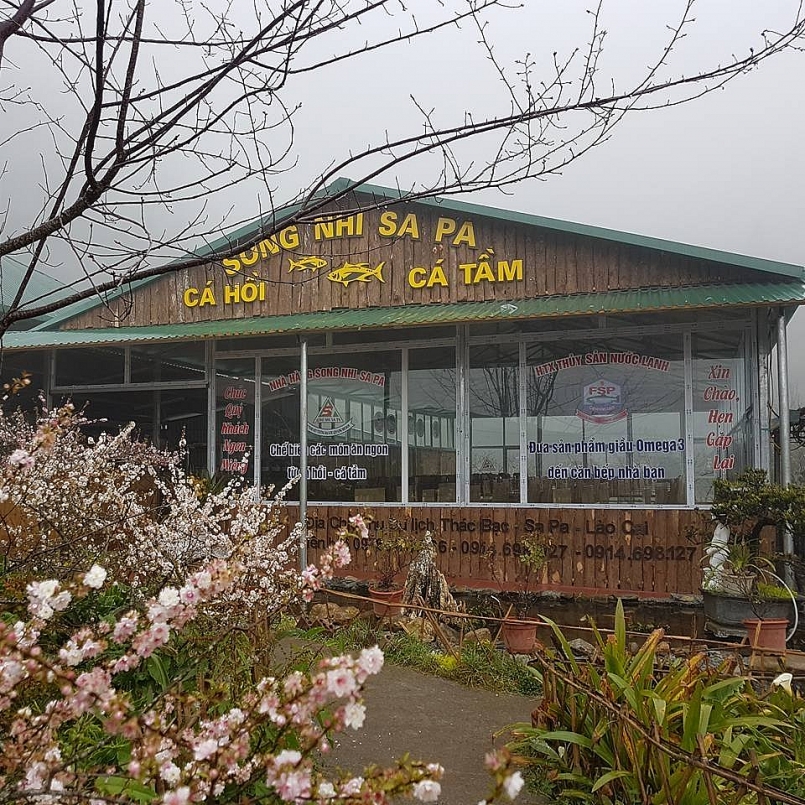 Review Sapa: Top 10 Nhà hàng ngon nổi tiếng đáng để thưởng thức khi du lịch Sapa