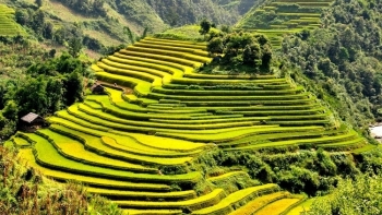 Review du lịch Yên Bái: Khám phá vùng đất nơi cửa ngõ phía Tây Bắc của Tổ quốc