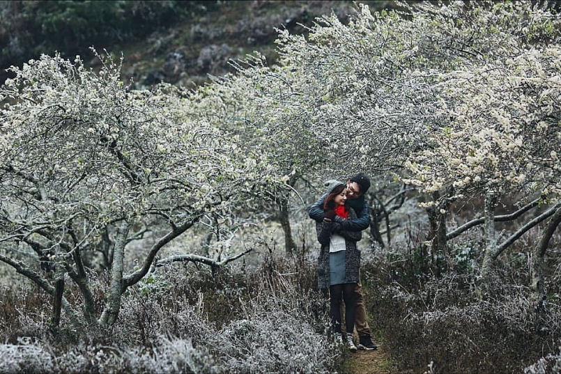 Mỗi độ tháng 3 về, hoa ban trắng nở rộ, phủ trắng khắp các sườn đồi