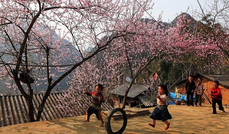 Mùa hoa anh đào ở Điện Biên