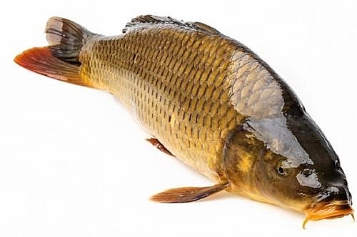 Review du lịch Yên Bái: Top 15 món đặc sản Yên Bái