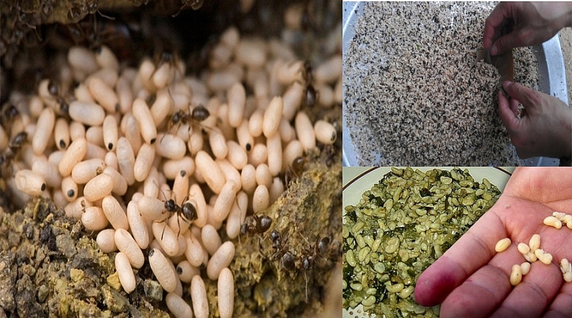 Review du lịch Yên Bái: Top 15 món đặc sản Yên Bái