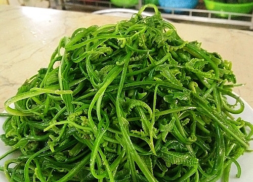 Review du lịch Yên Bái: Top 15 món đặc sản Yên Bái