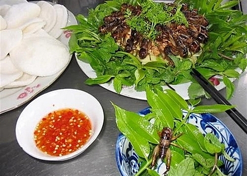 Review du lịch Yên Bái: Top 15 món đặc sản Yên Bái