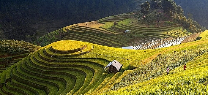 Review du lịch yên Bái: Chinh phục đèo Khau Phạ - Một trong 5 cung đèo đẹp nhất Việt Nam