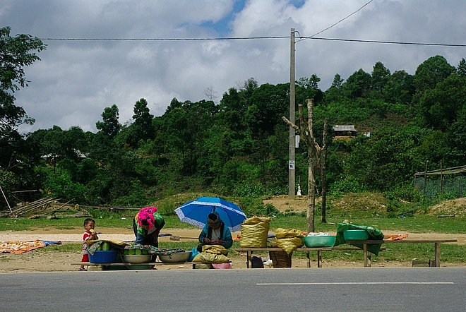 Trên đỉnh đèo có một chợ chim, bán rất nhiều loại chim do người dân mang ra Trên đỉnh đèo có một chợ chim, bán rất nhiều loại chim do người dân mang ra