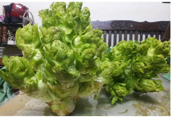 Review Sapa: Top 15 đặc sản Sapa mua về làm quà không thể bỏ qua