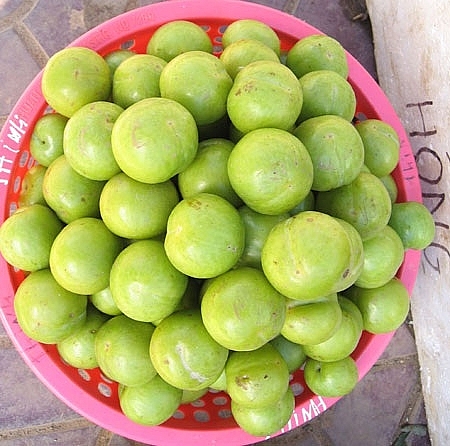 Review Sapa: Top 15 đặc sản Sapa mua về làm quà không thể bỏ qua