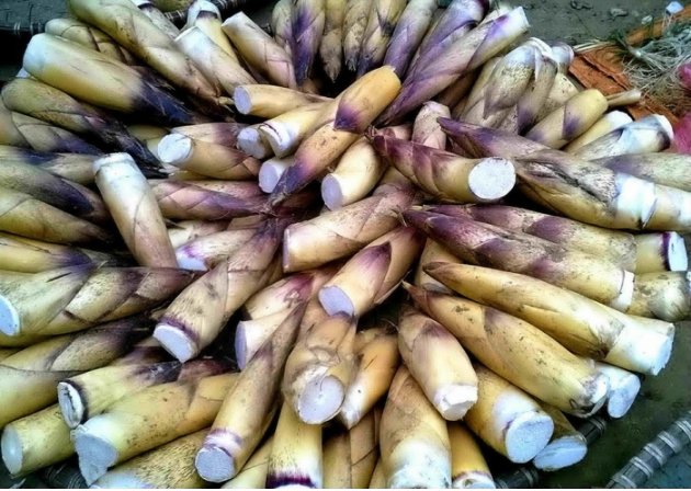 Review Sapa: Top 15 đặc sản Sapa mua về làm quà không thể bỏ qua