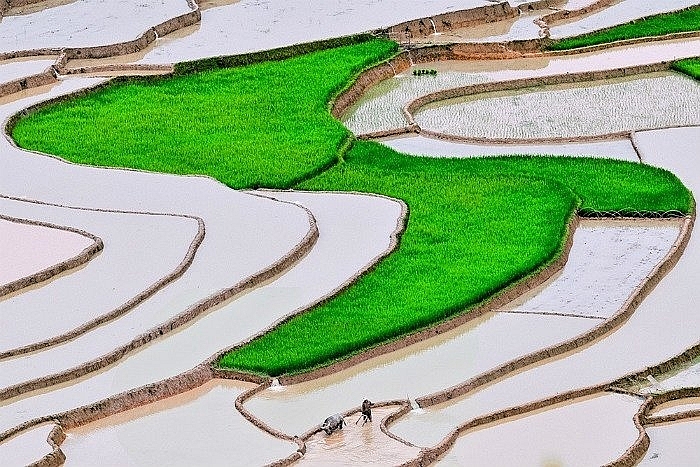 Khám phá xã Tú Lệ - Một nét thanh bình của vùng Tây Bắc