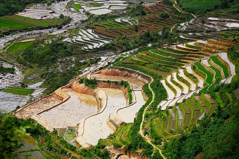 Ảnh-Toàn Thắng Ảnh-Toàn Thắng