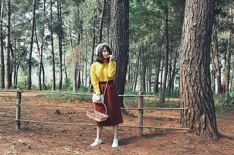 Cao nguyên Mộc Châu miền đất bốn mùa hoa nở Cao nguyên Mộc Châu miền đất bốn mùa hoa nở