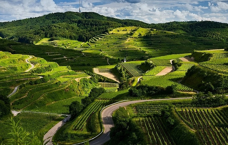 Cao nguyên Mộc Châu miền đất bốn mùa hoa nở Cao nguyên Mộc Châu miền đất bốn mùa hoa nở