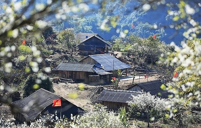 Cao nguyên Mộc Châu miền đất bốn mùa hoa nở Cao nguyên Mộc Châu miền đất bốn mùa hoa nở
