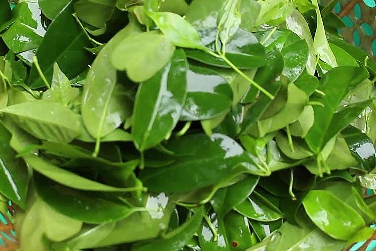 Top 10 món ăn đặc sản Hòa Bình ngon nức tiếng Top 10 món ăn đặc sản Hòa Bình ngon nức tiếng