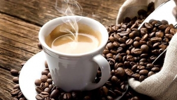 Giá cà phê hôm nay 7/9: Tăng nhẹ