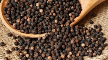 Giá hồ tiêu hôm nay 8/9: Tiếp đà tăng mạnh