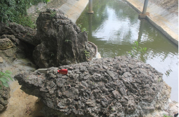 Tạo hình ba cụ rùa trước cửa động Đá Bạc Tạo hình ba cụ rùa trước cửa động Đá Bạc