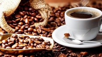 Giá cà phê hôm nay 11/9: Giữ ổn định