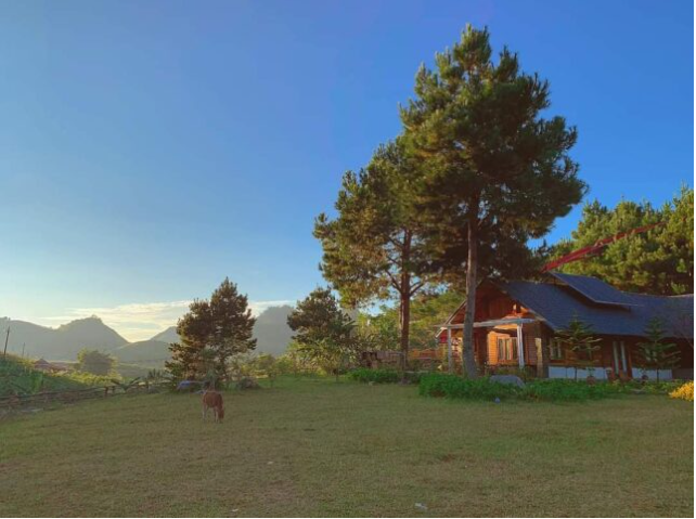 The Nordic Village The Nordic Village