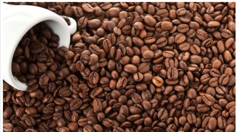 Giá cà phê hôm nay 12/9: Giảm 500 - 600 đồng/kg trong tuần