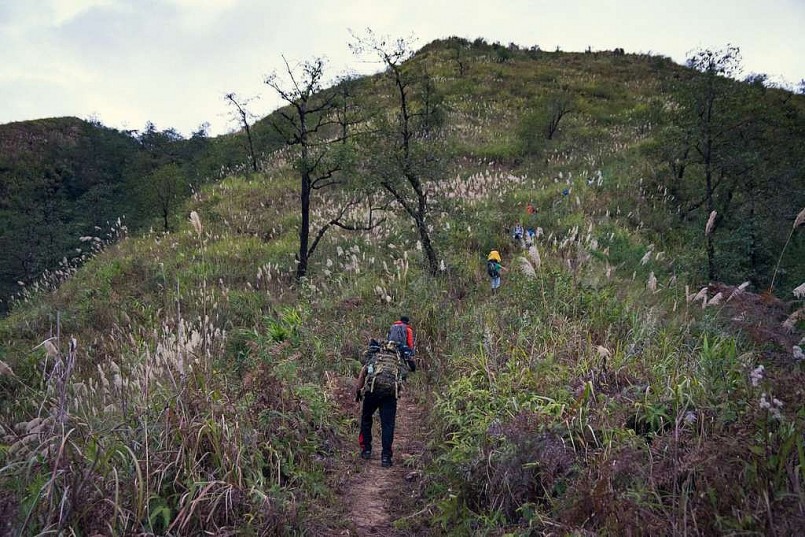 Những đoạn đường ngập trong cỏ cháy