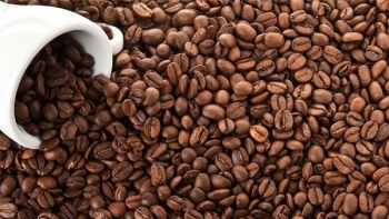 Giá cà phê hôm nay 13/9: Đi ngang