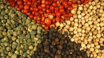 Giá hồ tiêu hôm nay 15/9: Giữ ổn định