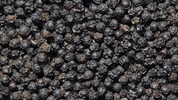 Giá hồ tiêu hôm nay 16/9: Giữ nguyên