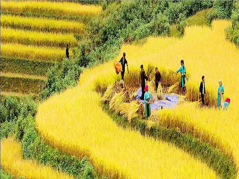 Chiêm ngưỡng bản Sín Chải thơ mộng Chiêm ngưỡng bản Sín Chải thơ mộng