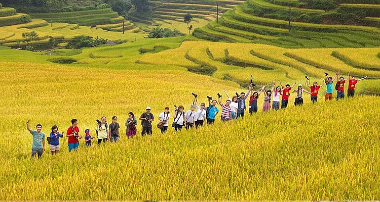 Những "nấc thang lên trời" ở Hoàng Su Phì Những "nấc thang lên trời" ở Hoàng Su Phì