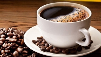 Giá cà phê hôm nay 20/9: Chưa có biến động