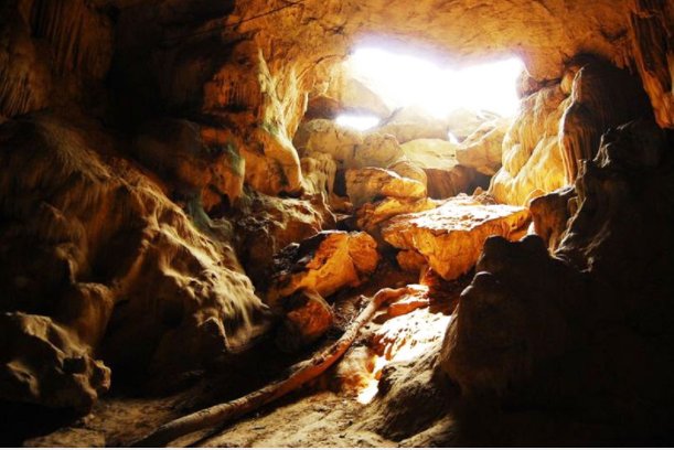 ảnh-gody ảnh-gody