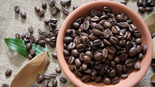 Giá cà phê hôm nay 23/9: Giảm mạnh