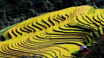 Bản Cát Lình - Bức tranh đa sắc của Chiềng Muôn