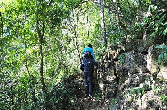 Cung đường xuyên rừng trên hành trình khám phá quần thể hang động