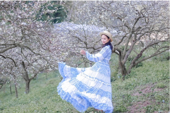 Mộc Châu mùa hoa mận